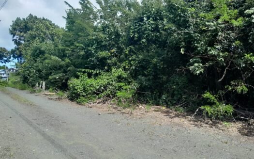 Land For Sale Moriah,Tobago