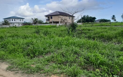 Land For Sale St. Helena