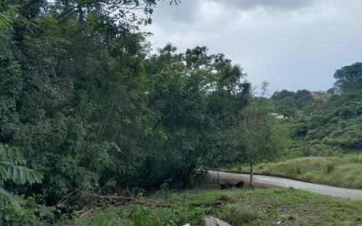 Land For Sale Tobago