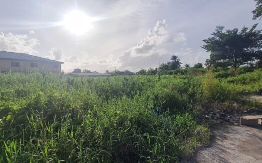 Land For Sale Boodoo Trace, Debe
