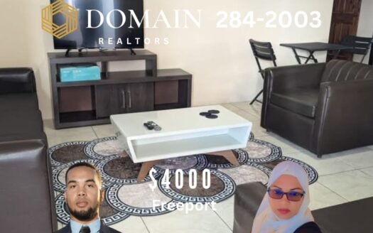Furnished 2 Bedroom Apartment Freeport