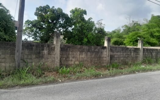 Land For Sale in , Chin Chin Road, Cunupia