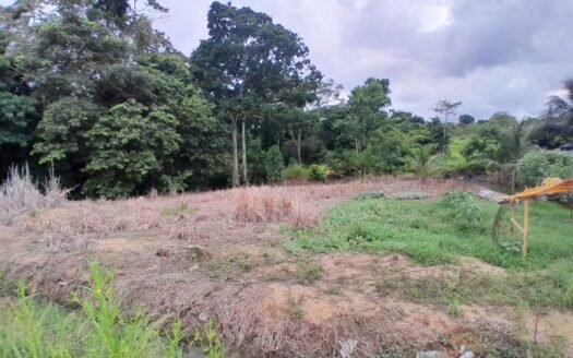 Residential Land For Sale Las Lomas