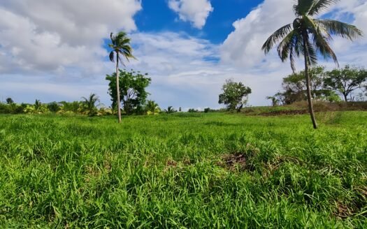 Residential Land For Rent, Jokhan Trace, San Francique