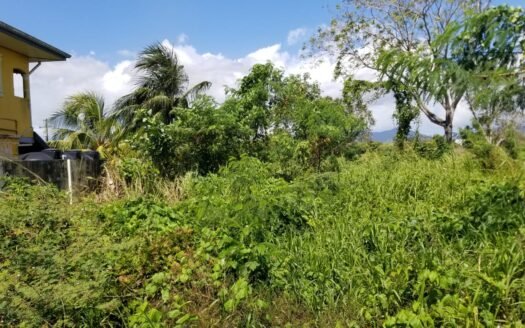 Residential Land For Sale Charlieville