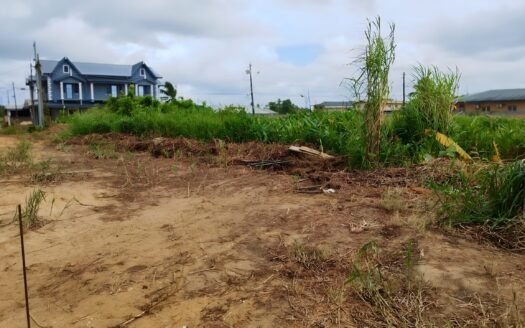 Land For Sale Munroe Road Cunupia