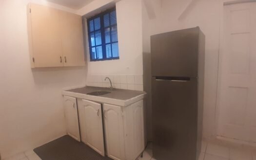 Furnished 1 Bedroom Apartment, Curepe