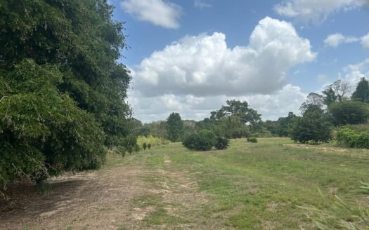 Land For Sale Ravin Sable