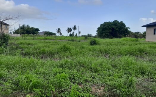 Land For Sale St. Helena