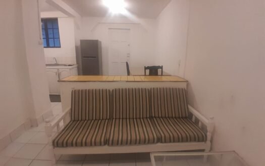 Furnished 1 Bedroom Apartment, Curepe