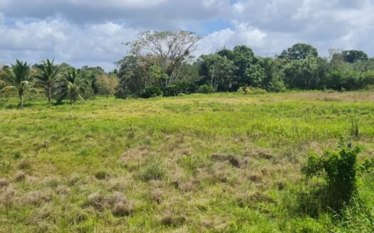 Land For Sale in Barrackpore