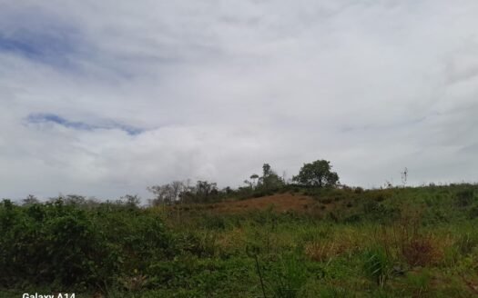 Land For Sale Santa Phillipa Road, Caparo