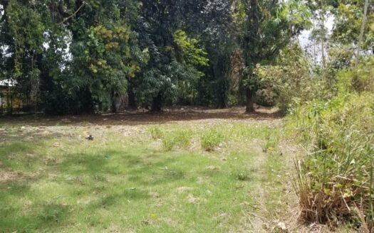 Land For Sale Cunupia