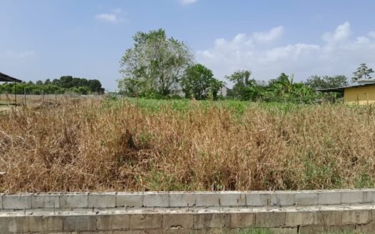 Land For Sale, Piarco