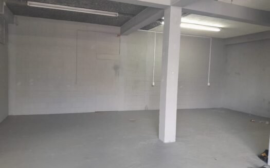 Commercial Space Curepe