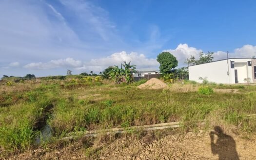 Land For Sale Mohess Road, Penal