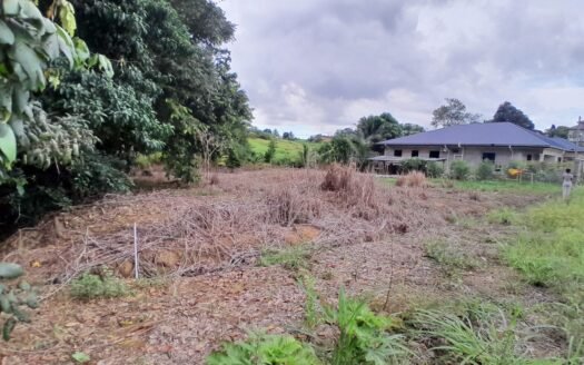 Residential Land For Sale Las Lomas