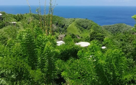 Land For Sale Land in Tobago