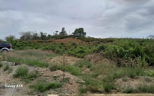 Land For Sale Santa Phillipa Road, Caparo