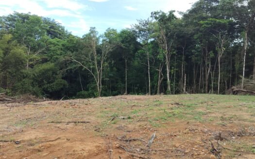 Land For Sale Land in Guaico Tamana Road, Sangre Grande