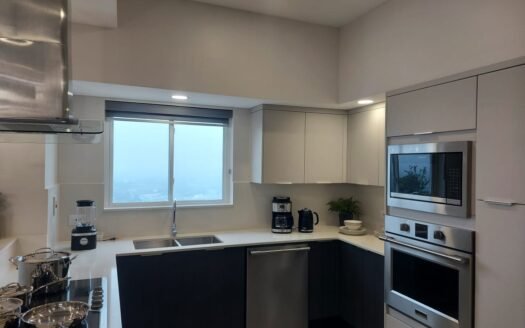 3 Bedroom Condo Champs Fleurs