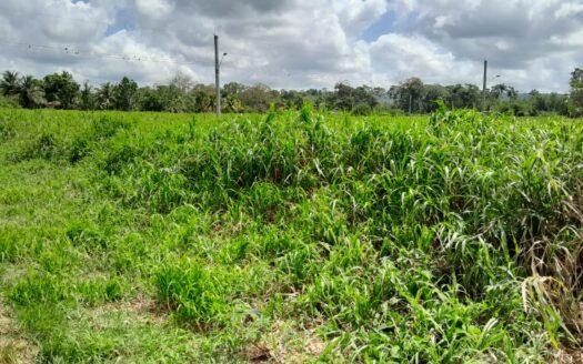 2 Lots Residential Land For Sale Caparo Rd, Couva