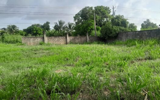 Land For Sale in , Chin Chin Road, Cunupia