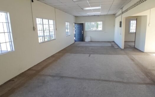 Commercial Building Freeport
