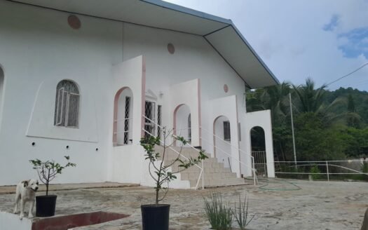 Commercial Building Diego Martin