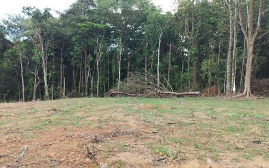 Land For Sale Land in Guaico Tamana Road, Sangre Grande