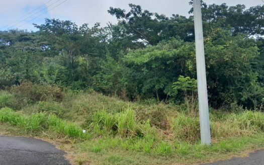 Land For Sale Tobago