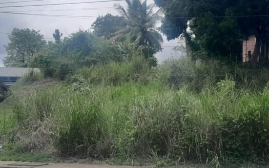 Land For Sale ,Eastern Main Road, D’Abadie