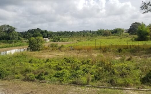 Land For Sale Barathsingh Trace, Chin Chin Road