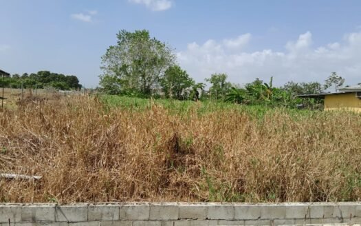 Land For Sale, Piarco