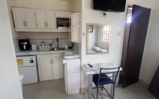 Furnished 2 Bedroom Apartment San Fernando