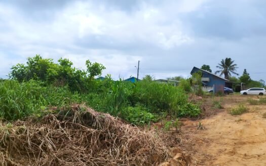 Land For Sale Munroe Road Cunupia