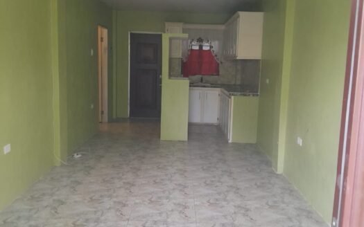 Pet friendly Utilities Included 1 Bedroom Apartment, Arima