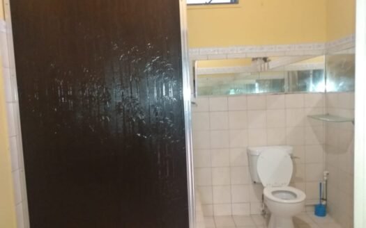 Semi Furnished 1 Bedroom Apartment Mohase Road, Penal