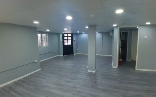 Commercial Space Curepe