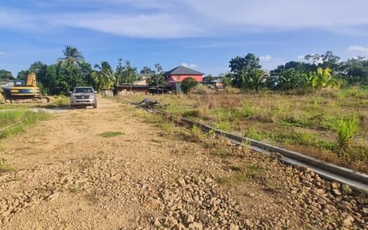Land For Sale Mohess Road, Penal
