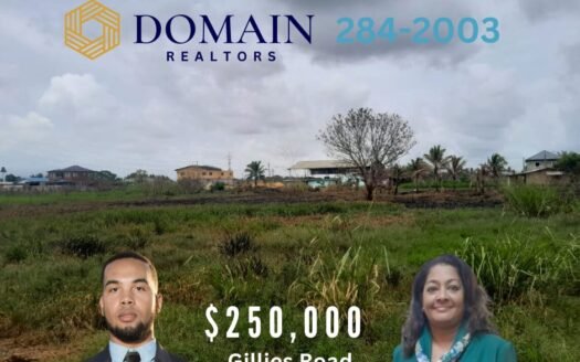 Land For Sale Gillies Road, Madras