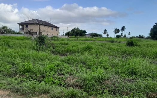 Land For Sale Brazil
