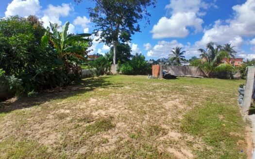 Land For Sale Welcome Road Mt. Moriah road