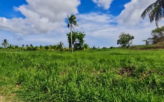 Residential Land For Rent, Jokhan Trace, San Francique