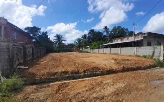 Land For Sale in Toco Main Road