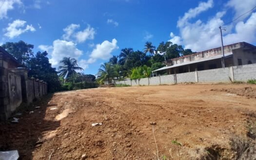 Land For Sale in Toco Main Road