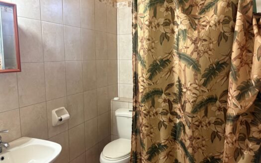Furnished 2 Bedroom Apartment, Noel Street, Couva