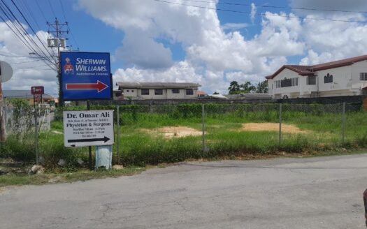 Commercial Land for Rent, Montrose