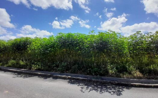 Residential Land For Sale Calcutta