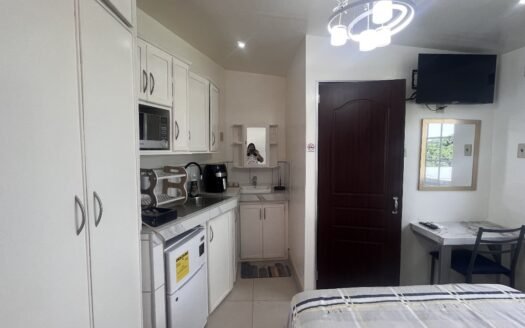 Utilities Included Furnished Studio Apartment San Fernando